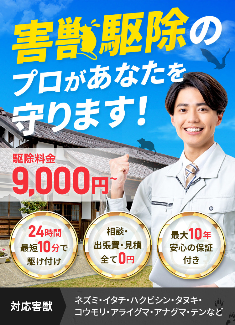 害獣駆除のプロがあなたを守ります! 駆除料金9,000円～ 24時間最短10分で駆け付け 相談・出張費・見積り全て０円 最大10年安心の保証付き 対応害獣:ネズミ・イタチ・ハクビシン・タヌキ・コウモリ・アライグマ・アナグマ・テンなど